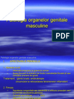 Patologia Organelor Genitale Masculine