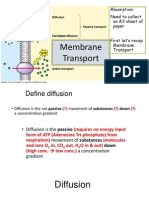 membrane transport revision