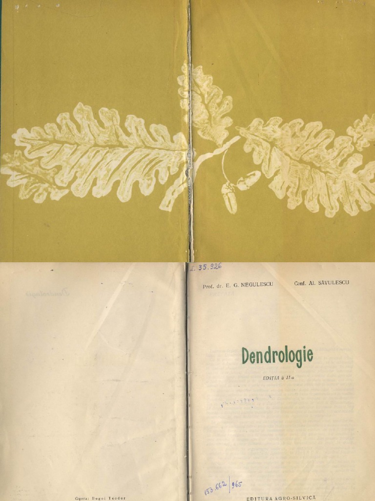 Manual De Dendrologie