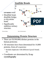 Protein Folding