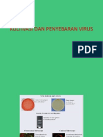 Kultivasi Dan Penyebaran Virus