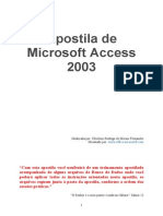 5166_Apostila completa de Microsoft Access 2003.pdf
