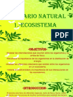 2.1 Ecosistema