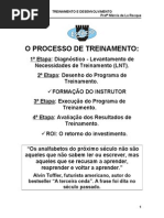 o Processo de Treinamento e Suas Etapas
