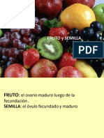 1008399072.FRUTO Y SEMILLA. Prof. G. Jaime- Biotecnología (1)