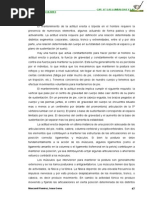 Esquema de Brodie | PDF | Músculo | Homeostasis