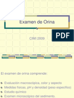 95111099 Examen de Orina