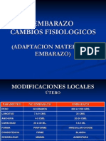 Cambios Fisiologicos Del Embarazo