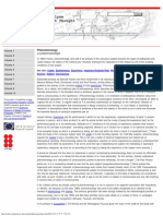 Phenomenology - Cahiers Pour L'analyse (An Electronic Edition)