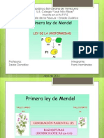 Primera Ley de Mendel - Frans