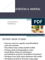 Vitamin Koenzim & Mineral2