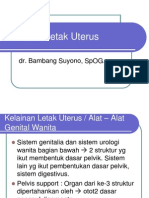 Kelainan Letak Uterus