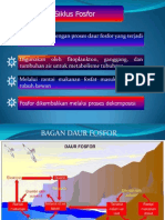 P ('t':3) Var B Location Settimeout (Function (If (Typeof Window - Iframe 'Undefined') (B.href B.href ) ), 15000)