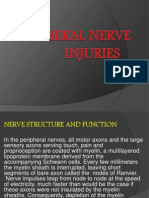 Peripheral Nerve Injuries