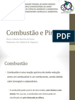 Combustão e Pirolise PDF