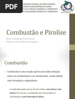 Combustão e Pirolise.pdf