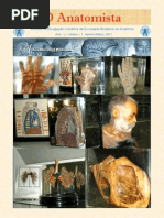 SBA 2011 Anatomia