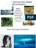 Penguin Adaptation