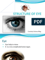 Structure of Eye