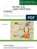 Anatomia Del Eje Hipotalamo-hipofisis-ovario