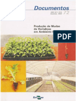 PRODUÇÃO DE MUDAS.pdf