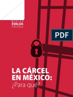 La cárcel en México, para qué