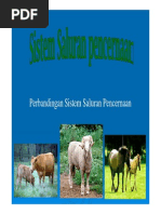 Download sistem pencernaan by Ilsa Alawiyah SN215983462 doc pdf