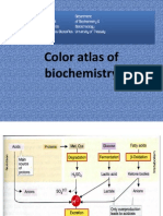 Color Atlas of Biochemistry