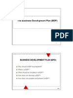 The Business Development Plan (BDP)
