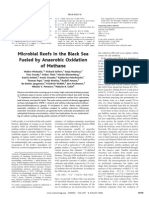 Anaerobic Oxidation of Methane 2002 Science