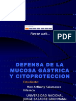 Defensa de La Mucosa Gastrica