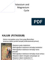 Potassium, Calcium and Magnesium - Cycle