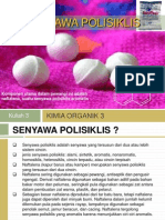 POLISIKLIS