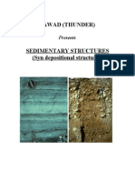Sedimenatary Structures Syn Depositional