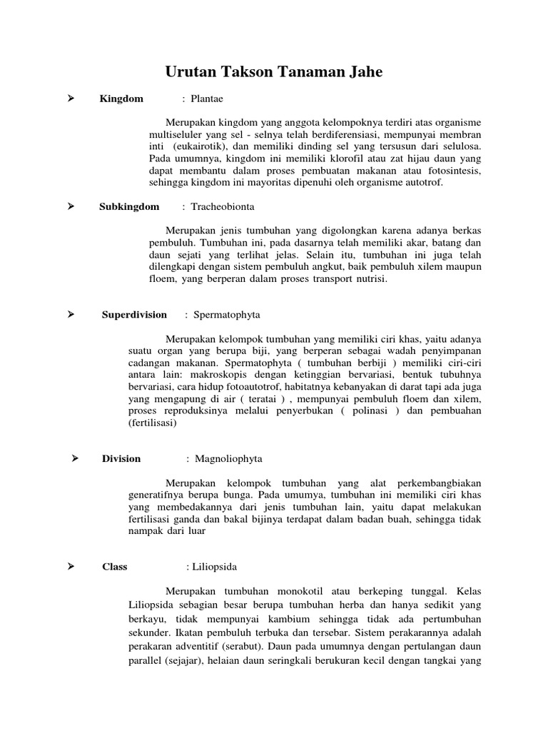 Urutan Takson Tanaman Jahe.docx