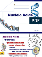 Nucleic Acids Form Six