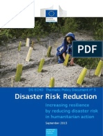 DRR Thematic Policy Doc
