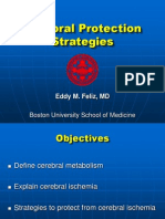 Cerebral Protection Strategies: Boston University School of Medicine