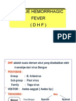 Infeksi 4 DHF