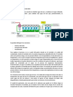 Proceso MSF MED