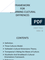 Framework On Cultural Differences
