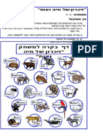 Animals Memory Check Instructions