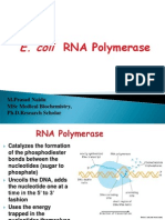 E.coli RNA Polymerase