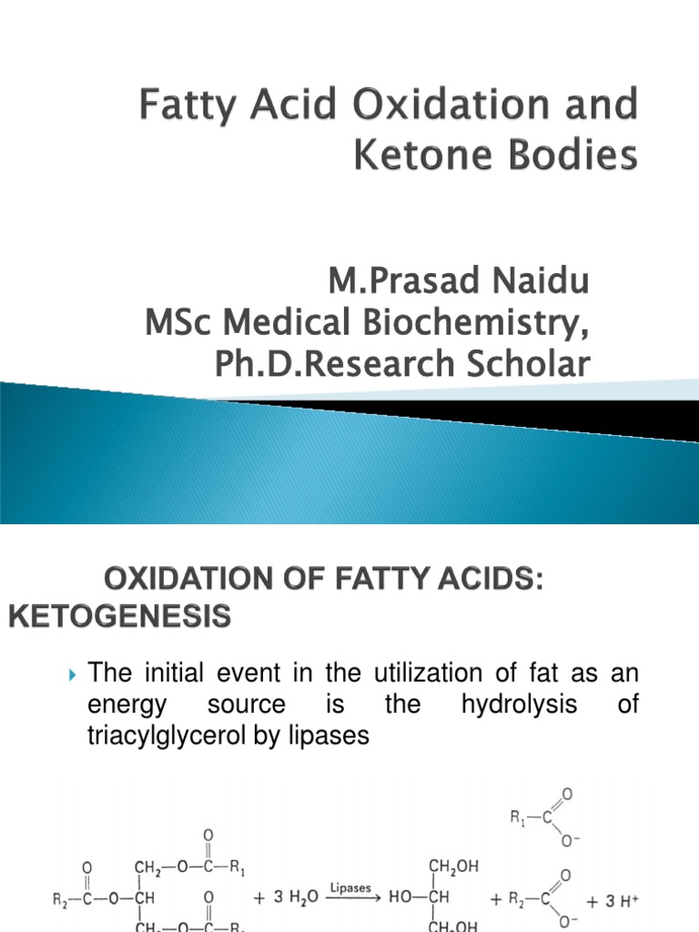 Fatty Acid Oxidation & Ketone Bodies | PDF | Adenosine Triphosphate ...