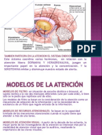 Mecanismos Neuronales de La Atencion