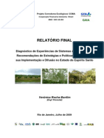 Relatorio Final Diagnostico SAF ES PCE-ES 07.2009