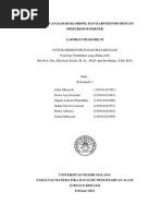 Download Penentuan Kadar Klorofil Dan Karotenoid Dengan Spektrofotometer by Rizky Alfarizy SN216223854 doc pdf