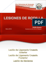 Lesiones de Rodilla II - Nadine