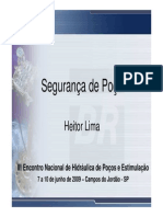 seguranadepoo-heitorlima-101004125333-phpapp01