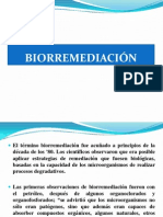 BIORREMEDIACIÒN- MAESTRÌA.ppt